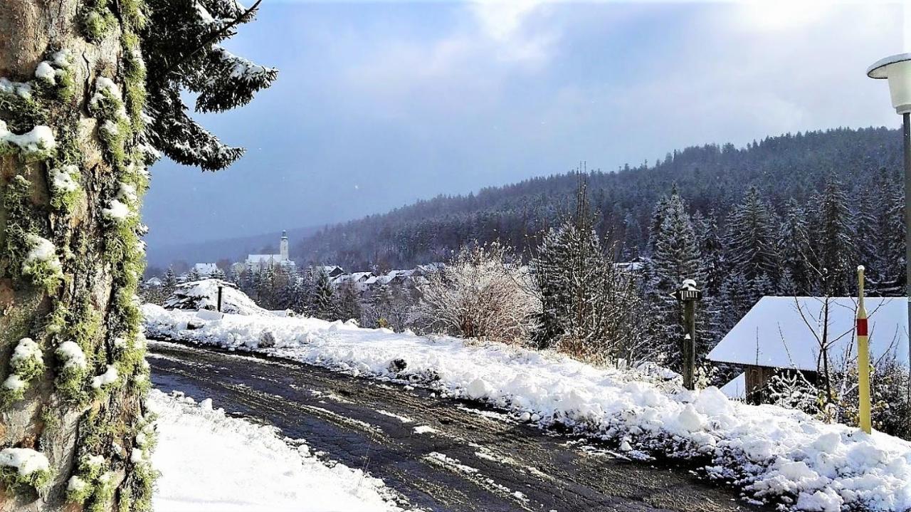 Penzion Sumavacek Bayerisch Eisenstein Zewnętrze zdjęcie